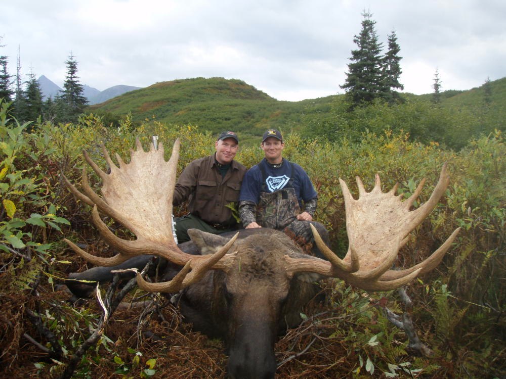 71 inch wide Moose