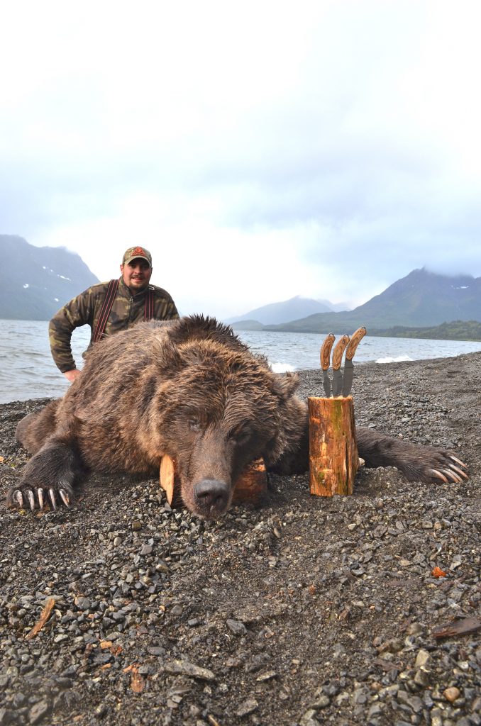 Alaska Brown Bear