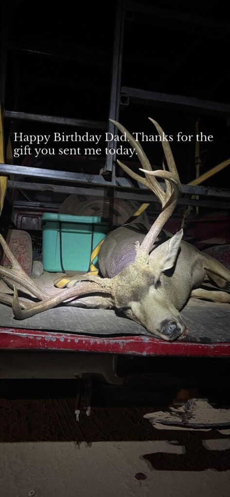 Mule Deer pics