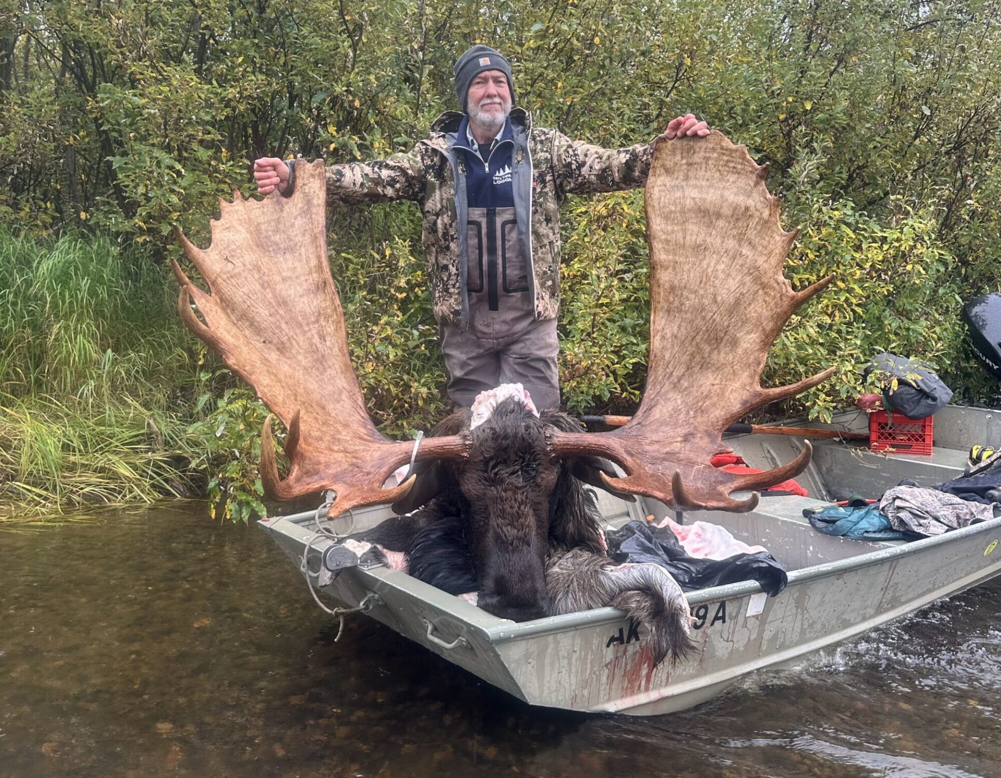 66 wide Moose from Alaska